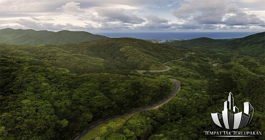 Keindahan Tersembunyi Jepang: Pulau Yakushima