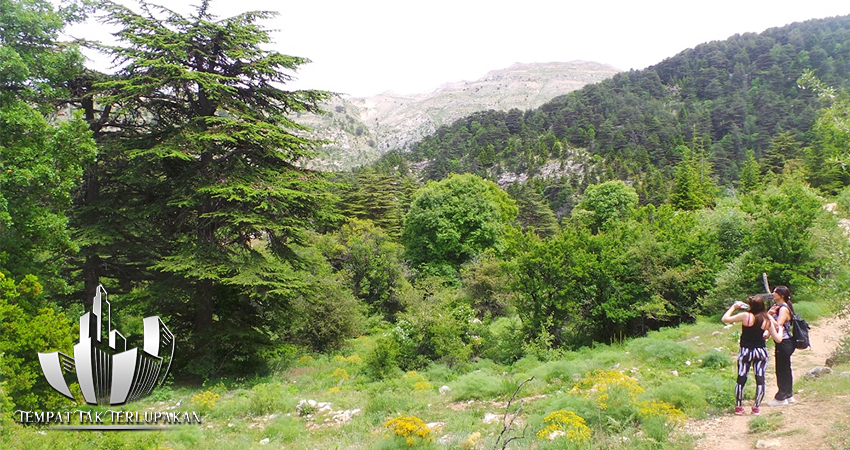 Lebanon Perjalanan Menyusuri Jalur Hijau